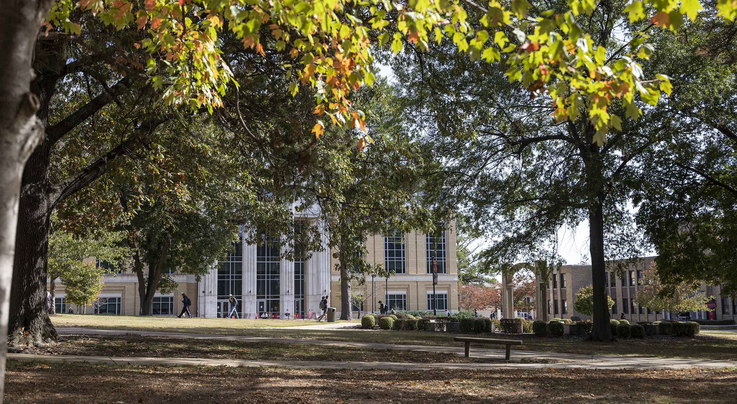 image of Fall scene on campus